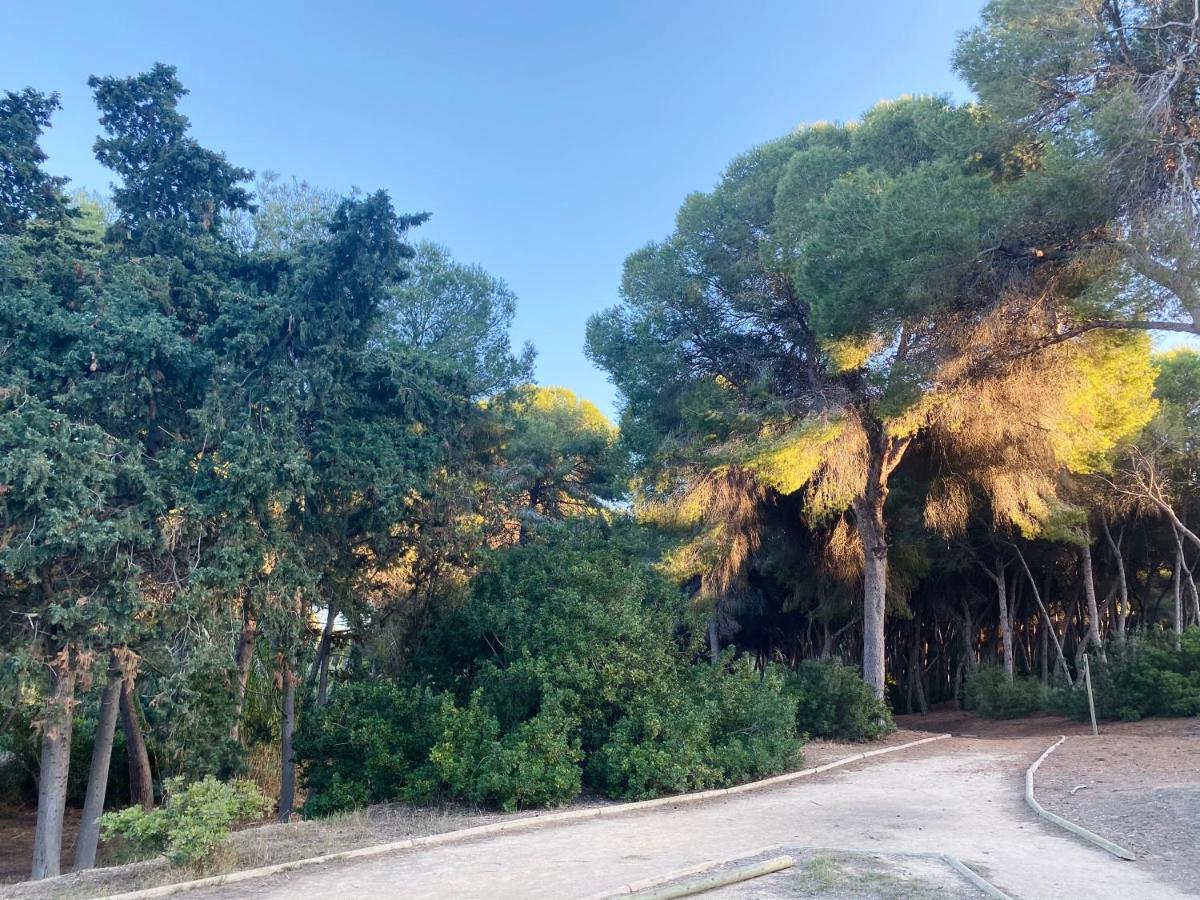 Apartamento Hermosa Glea Campoamor Luaran gambar