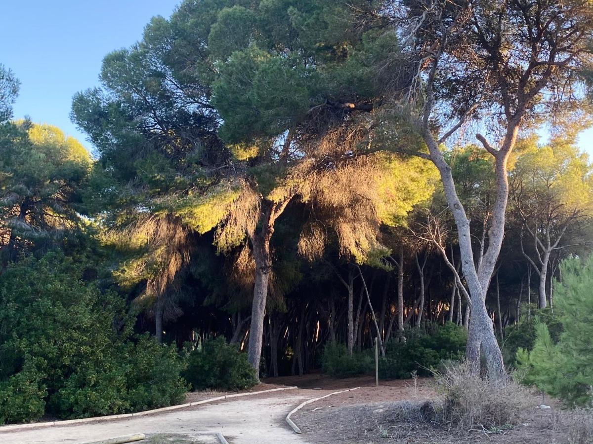 Apartamento Hermosa Glea Campoamor Luaran gambar